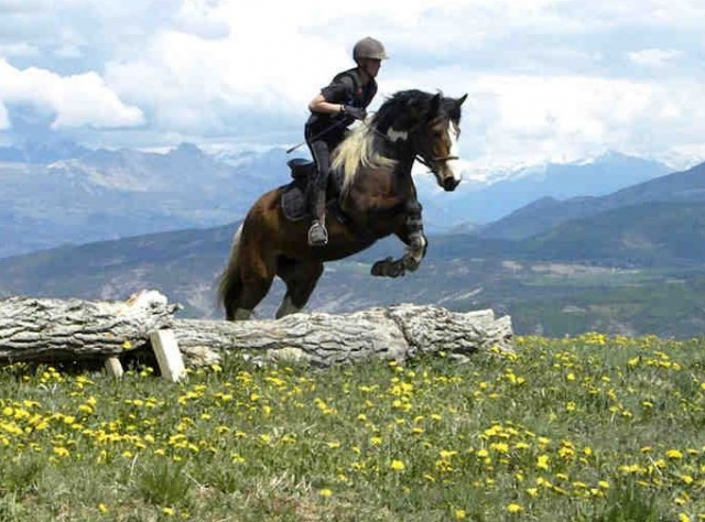  TREC en los Altos Alpes